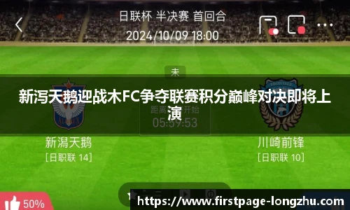 龙珠体育直播