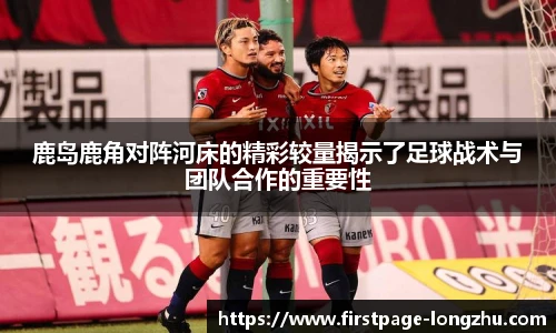 龙珠体育